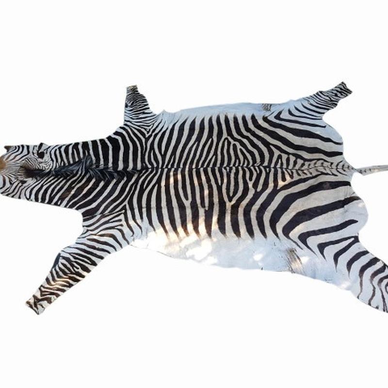 Zebra Hartman Skin B6 - Image 2
