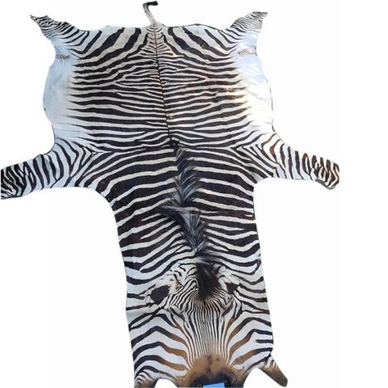 Zebra Hartman Skin B6 - Image 3