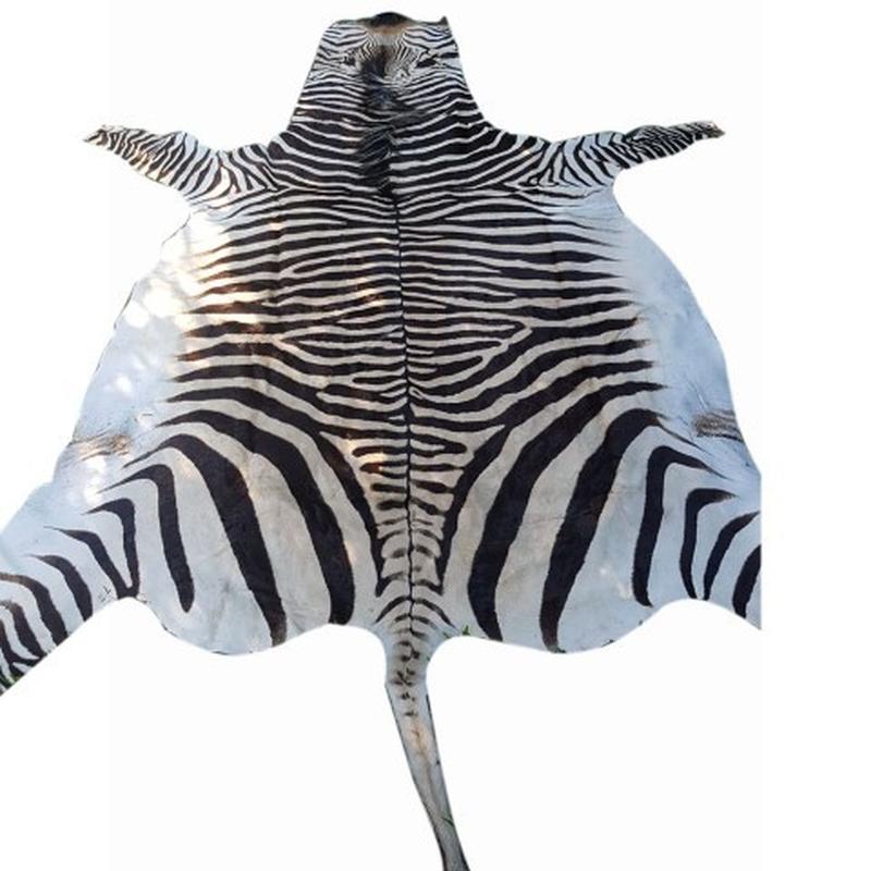 Zebra Hartman Skin B6 - Image 4