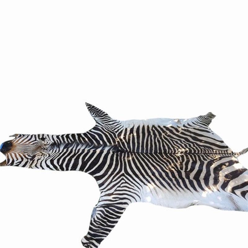Zebra Hartman Skins - Image 2