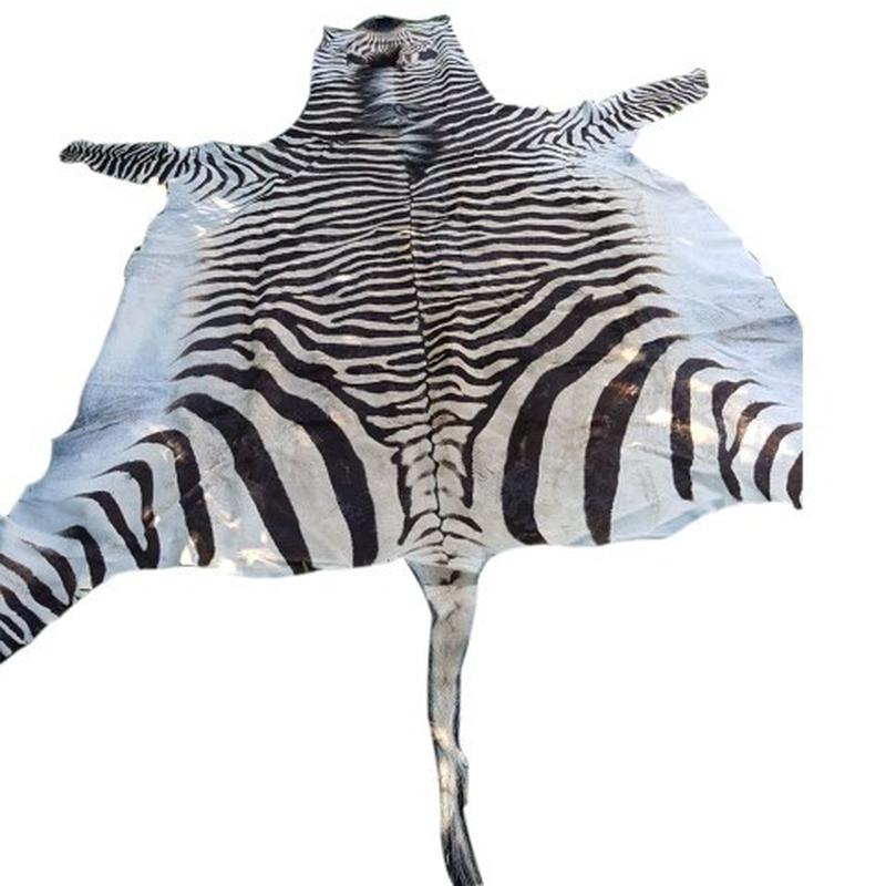 Zebra Hartman Skin B8 - Image 2