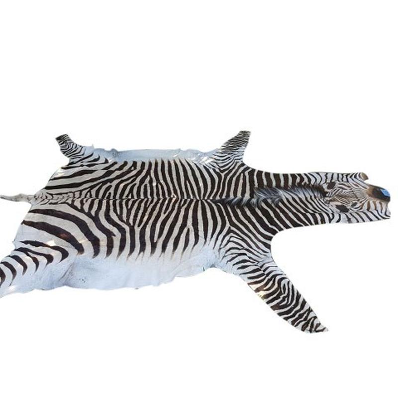 Zebra Hartman Skin B8 - Image 3