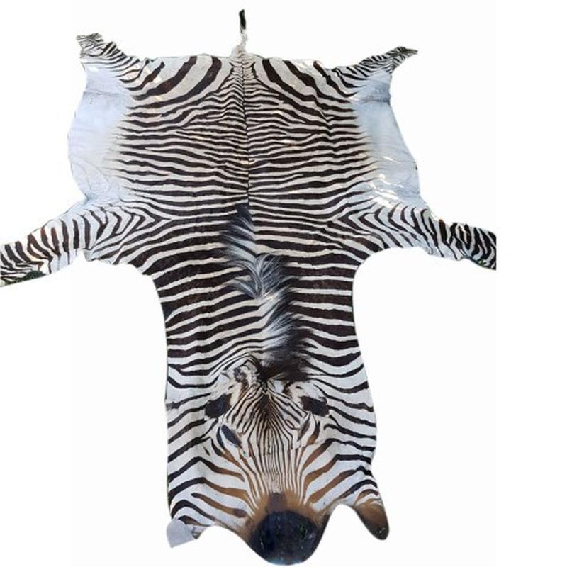 Zebra Hartman Skin B8