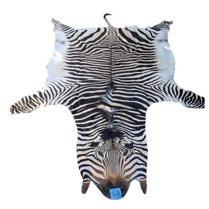 Zebra Hartman Skin B9 - Image 2