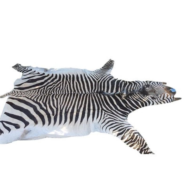 Zebra Hartman Skin B9 - Image 3