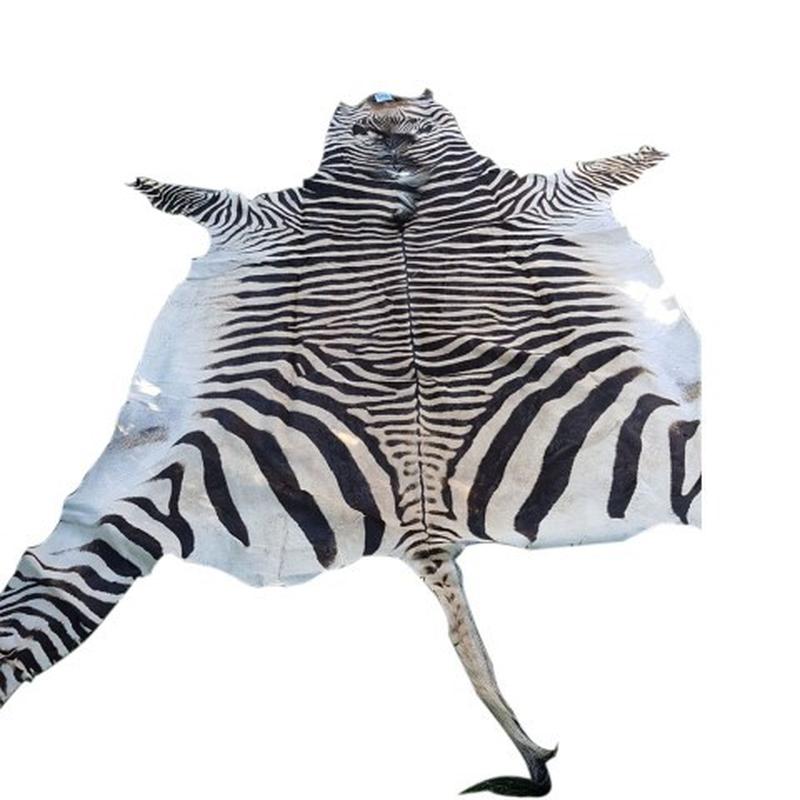 Zebra Hartman Skin B9 - Image 4