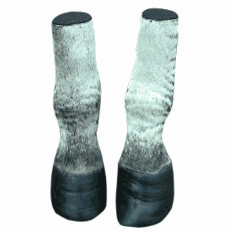 Zebra Leg 02