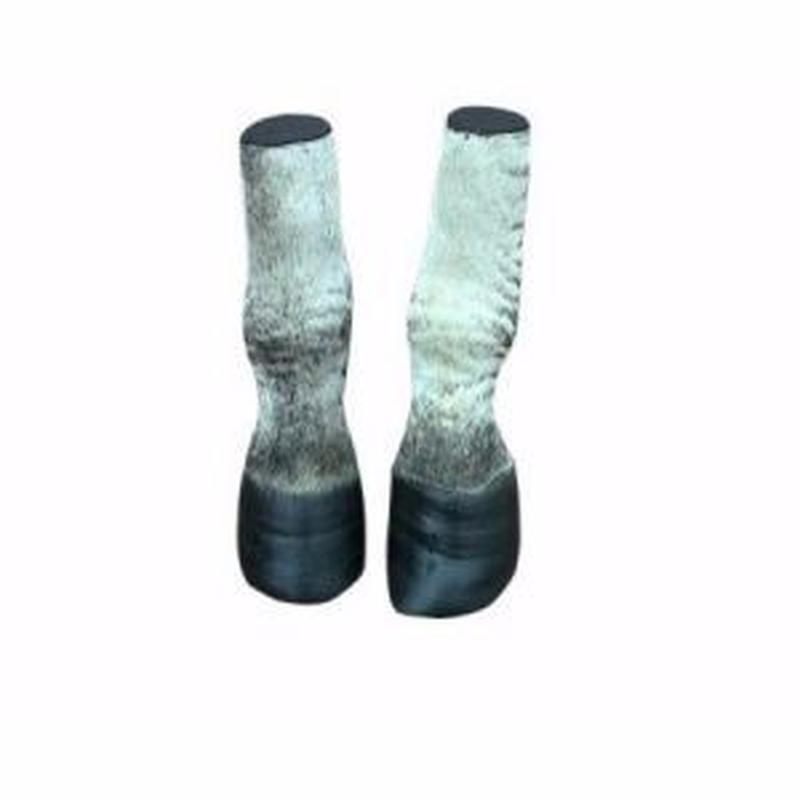 Zebra Leg 05