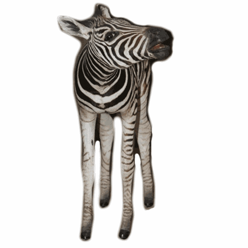 Zebra Mother And Baby Full Mount - ZMB1 - Image 3