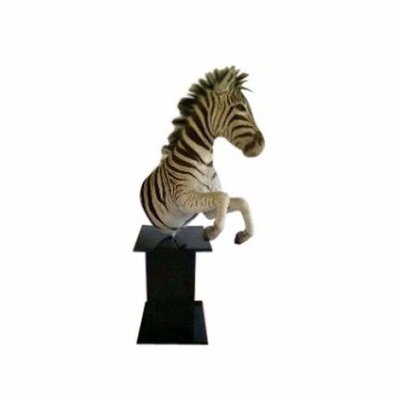 Zebra Pedestal Half Mount ZP1