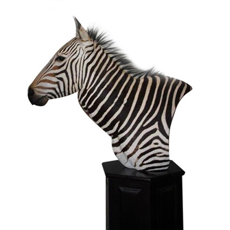 Zebra Pedestal Mount ZPM1