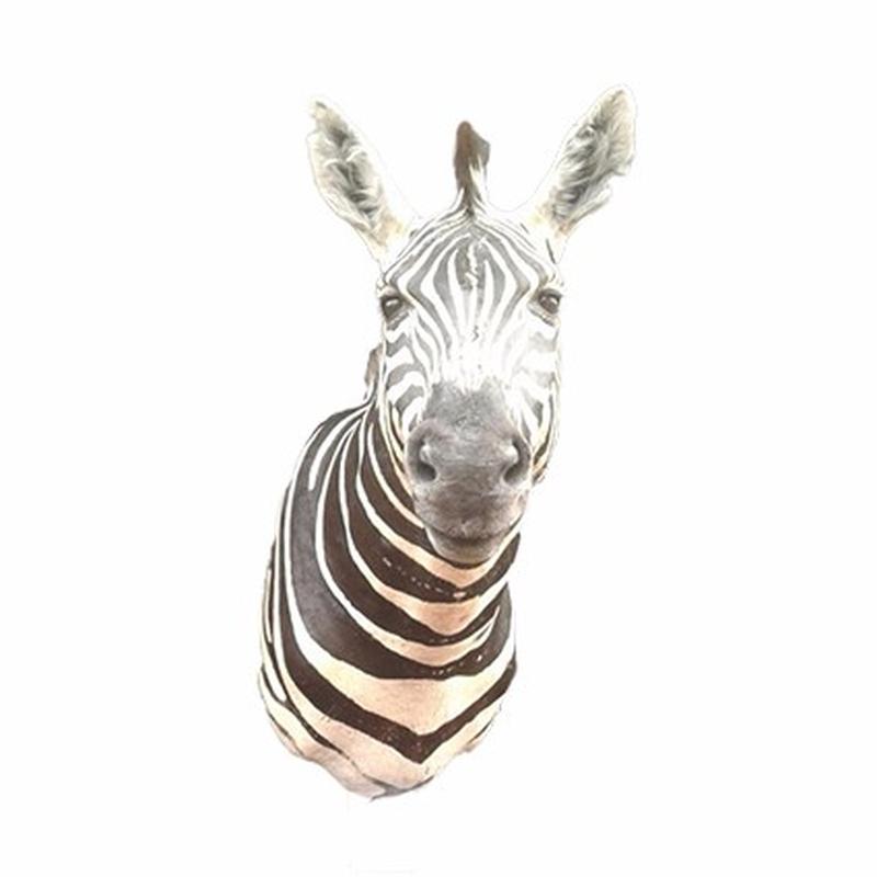 Zebra Shoulder Mount 1