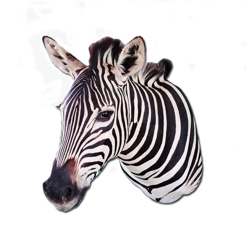Zebra Shoulder Mount - ZSM103 - Image 3