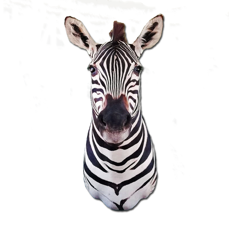 Zebra Shoulder Mount - ZSM103 - Image 4
