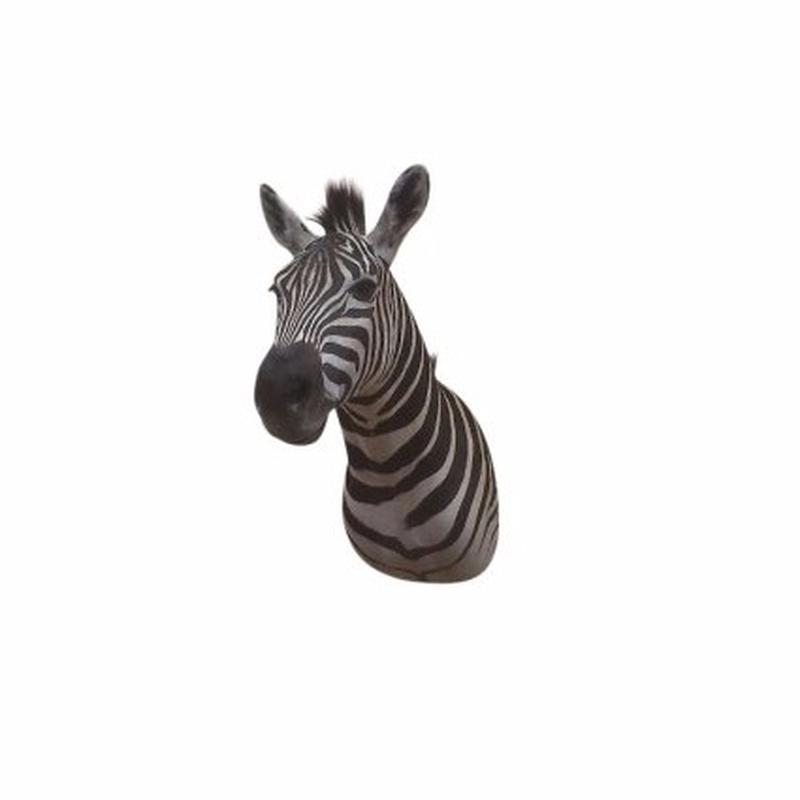 Zebra Shoulder Mount - A2