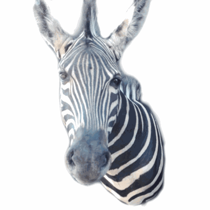 Zebra Shoulder Mount TDZ3 - Image 2