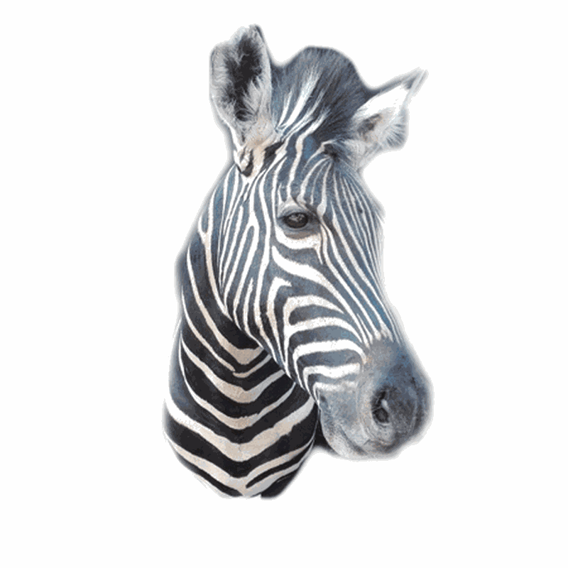 Zebra Shoulder Mount TDZ3 - Image 3