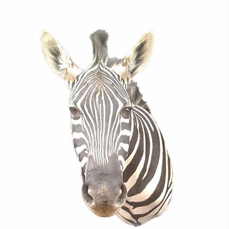 Zebra Shoulder Mount ZSM01 - Image 2