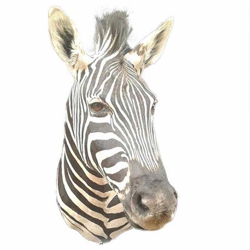Zebra Shoulder Mount ZSM01 - Image 4