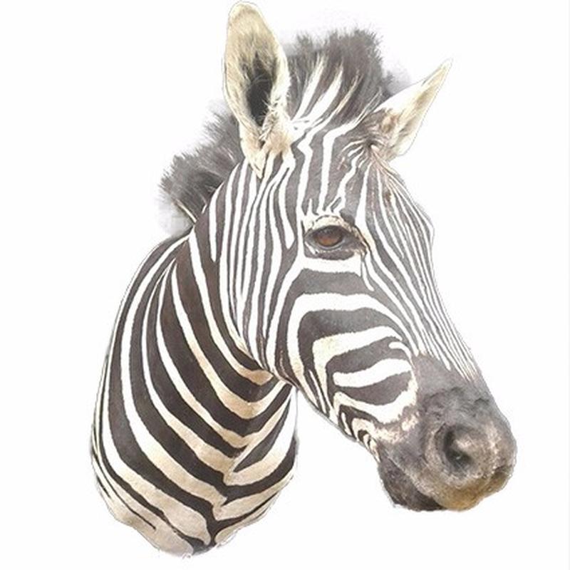 Zebra Shoulder Mount ZSM01