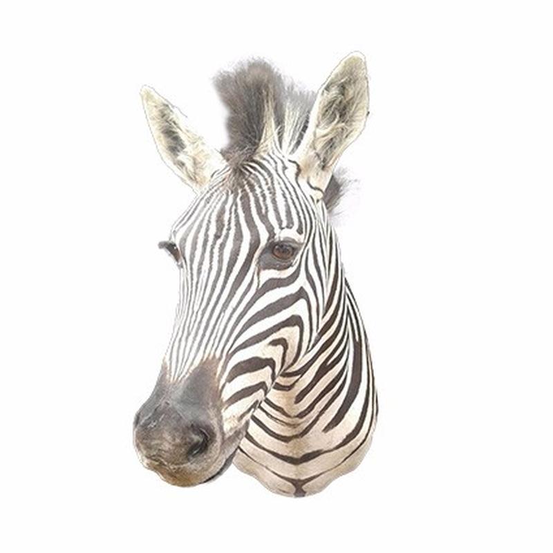 Zebra Shoulder Mount ZSM02 - Image 2
