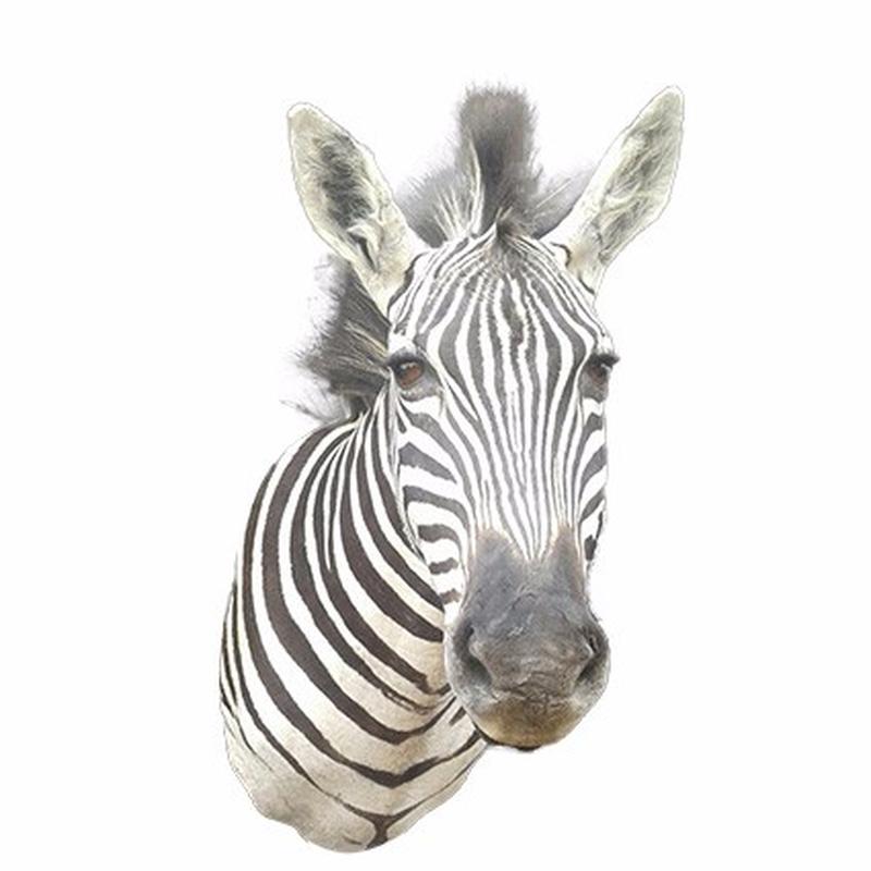 Zebra Shoulder Mount ZSM02