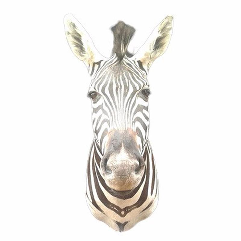 Zebra Shoulder Mount ZSM03 - Image 4