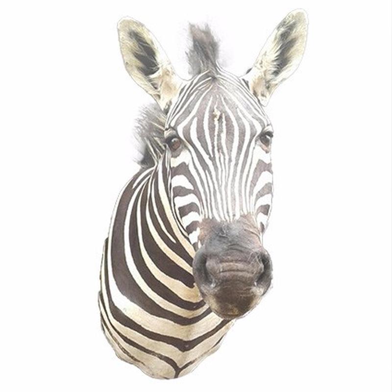 Zebra Shoulder Mount ZSM04