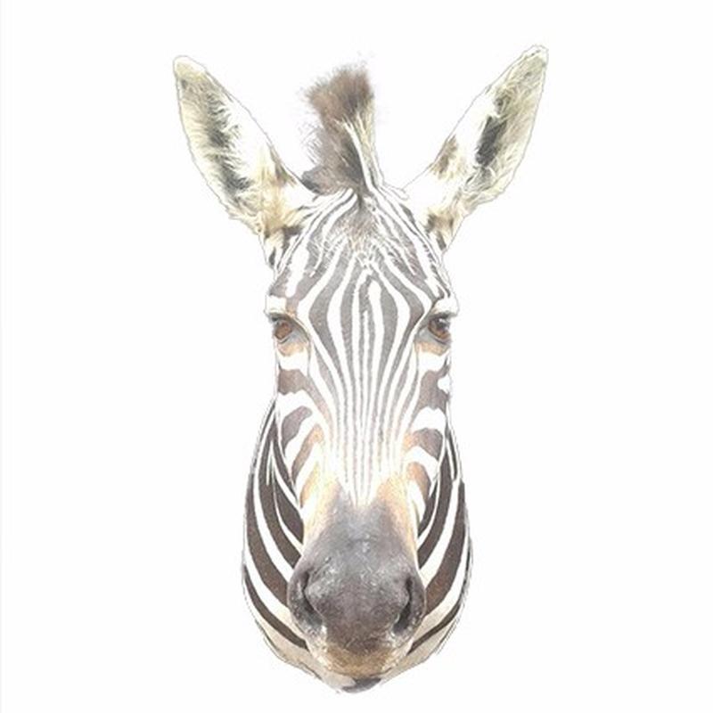 Zebra Shoulder Mount ZSM05 - Image 3