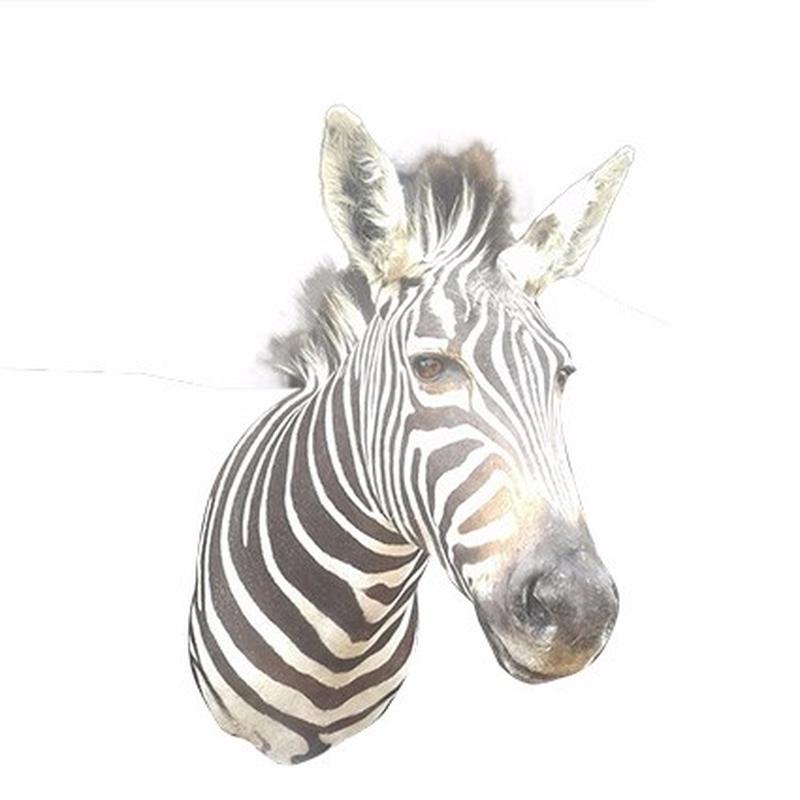 Zebra Shoulder Mount ZSM05