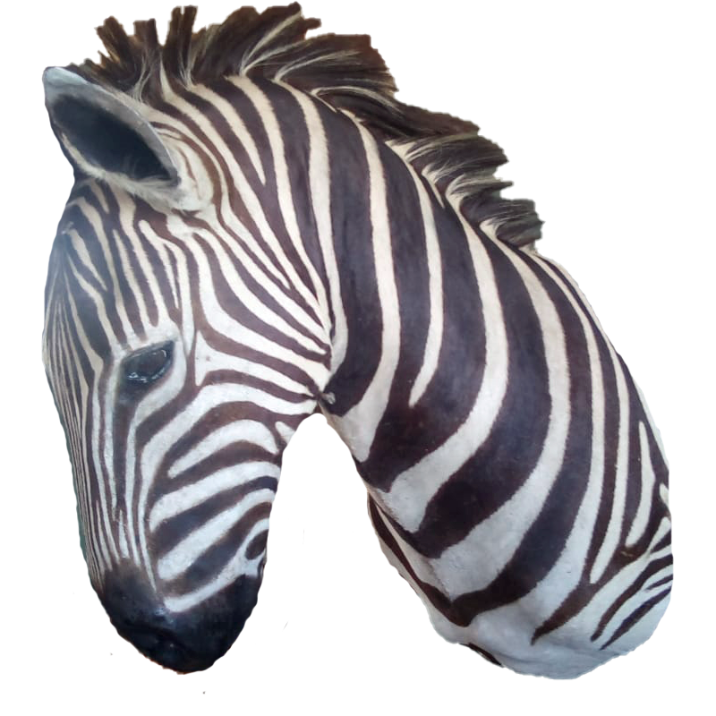 Zebra Shoulder Mount - ZSM104 - Image 4