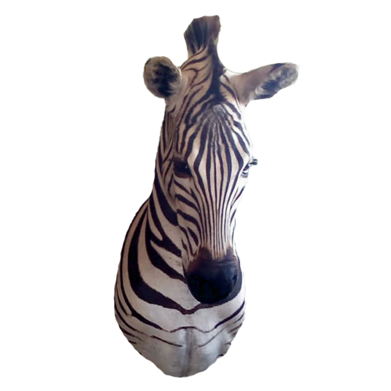 Zebra Shoulder Mount - ZSM105 - Image 3