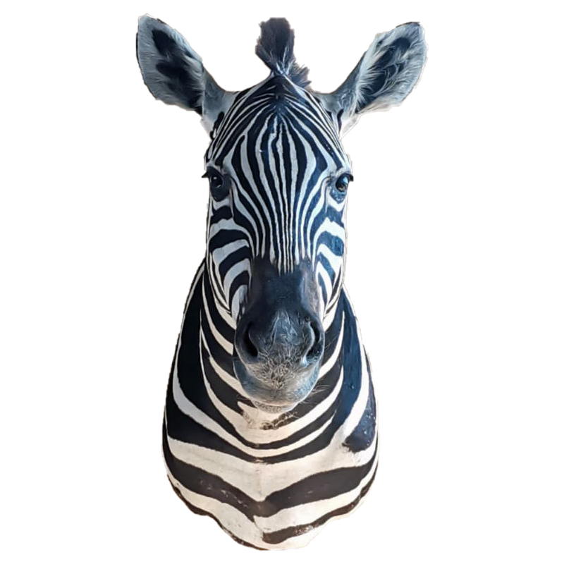 Zebra Shoulder Mount - ZSM106 - Image 3