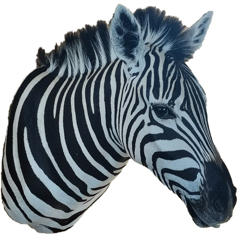 Zebra Shoulder Mount - ZSM107 - Image 2