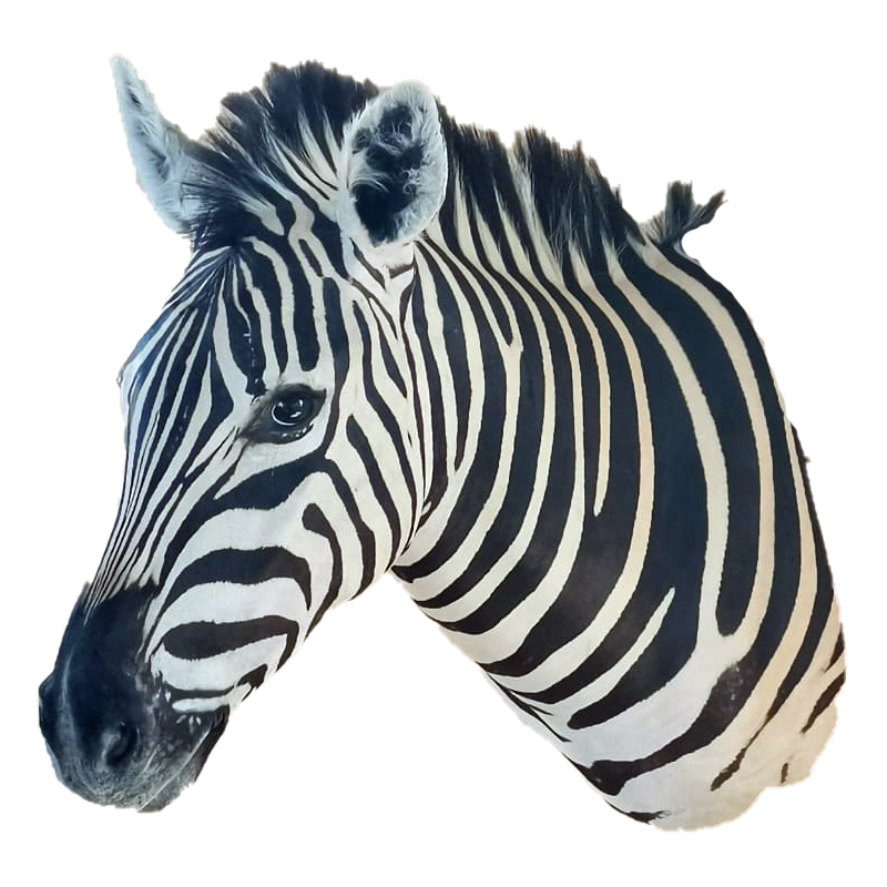 Zebra Shoulder Mount - ZSM107 - Image 3