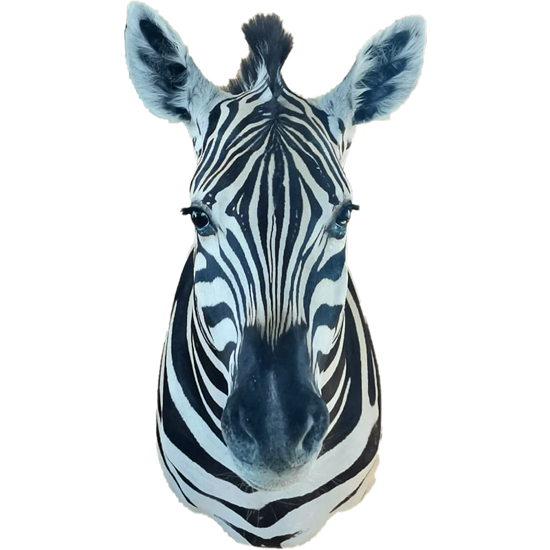 Zebra Shoulder Mount - ZSM107