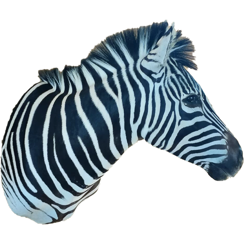 Zebra Shoulder Mount - ZSM109 - Image 2