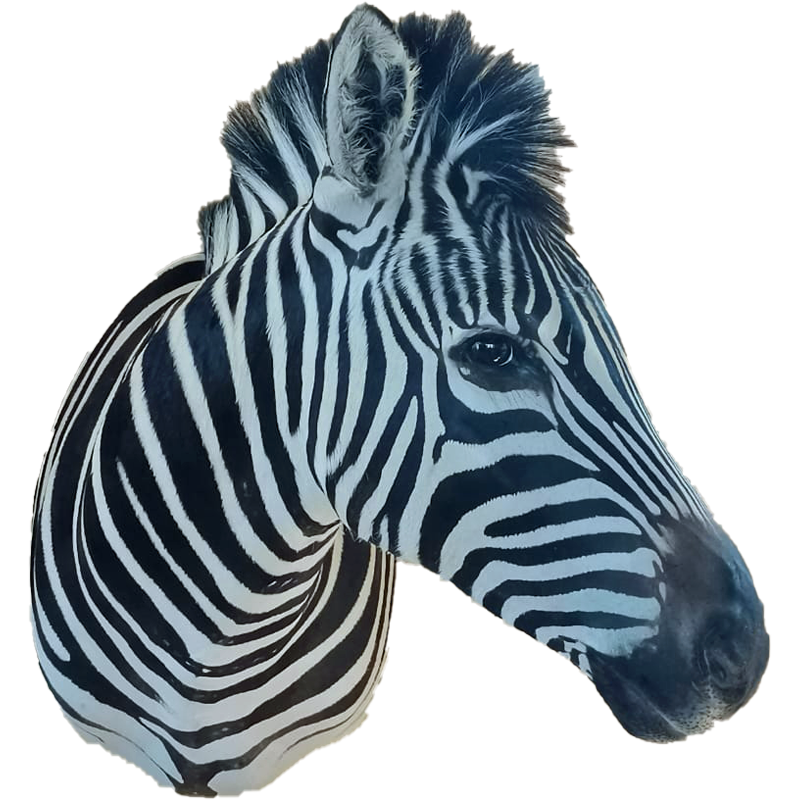 Zebra Shoulder Mount - ZSM109 - Image 3