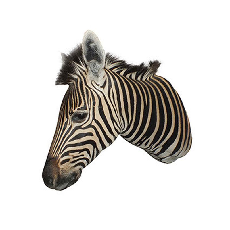 Zebra Shoulder Mount ZSM11 - Image 4