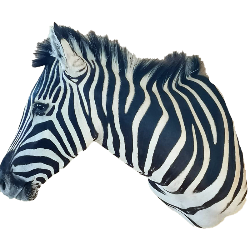 Zebra Shoulder Mount - ZSM110 - Image 2