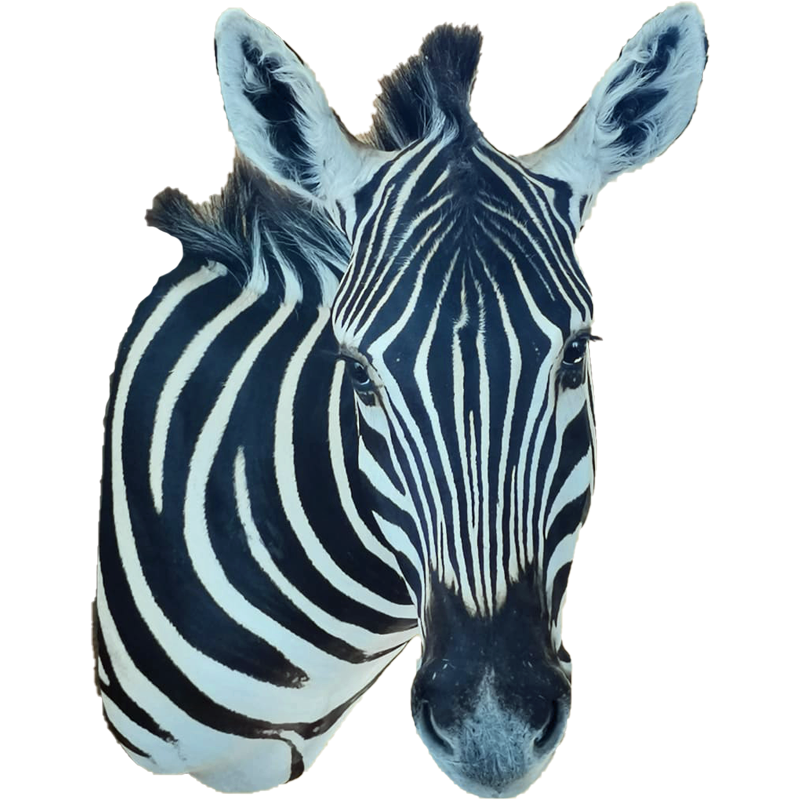 Zebra Shoulder Mount - ZSM110 - Image 3
