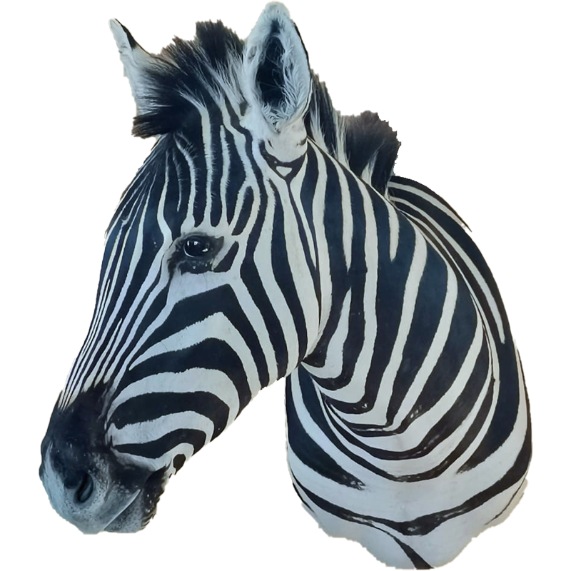 Zebra Shoulder Mount - ZSM110 - Image 4
