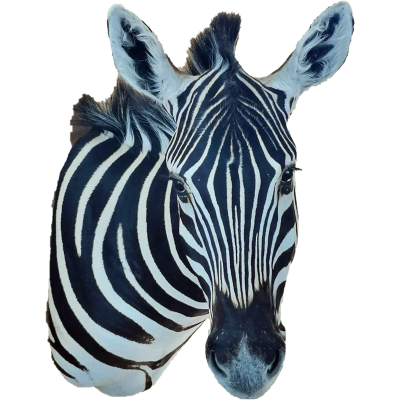 Zebra Shoulder Mount - ZSM110