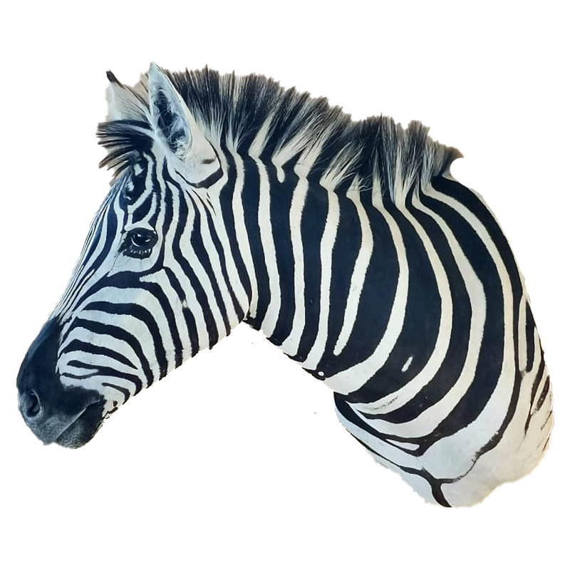 Zebra Shoulder Mount - ZSM111 - Image 3