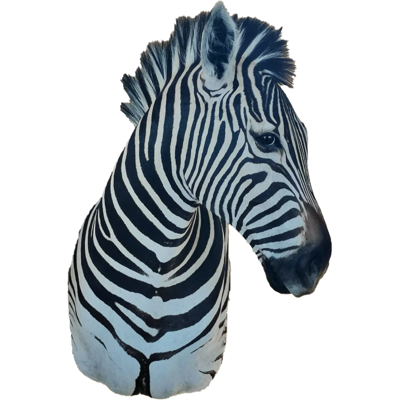 Zebra Shoulder Mount - ZSM112 - Image 2