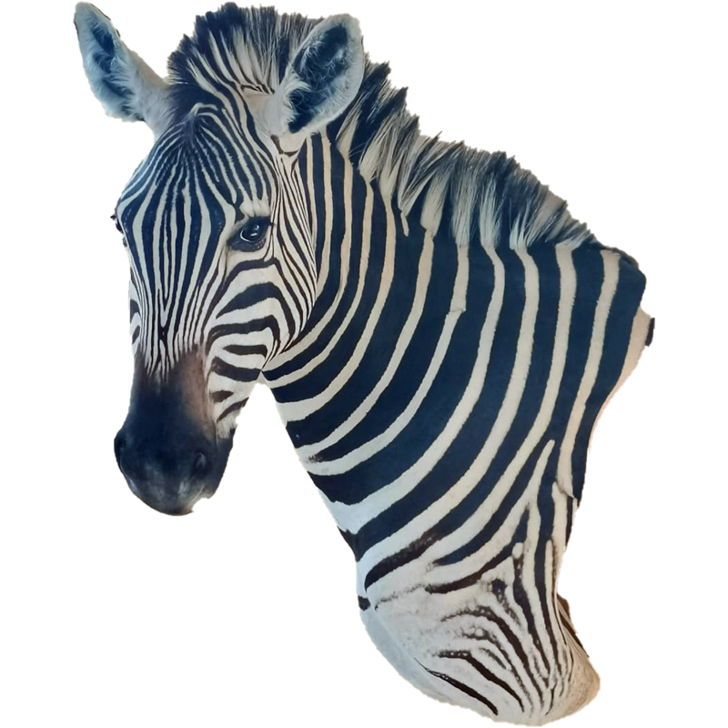 Zebra Shoulder Mount - ZSM112 - Image 3
