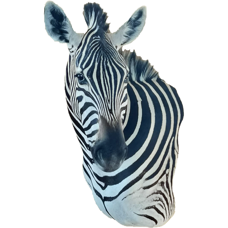 Zebra Shoulder Mount - ZSM112