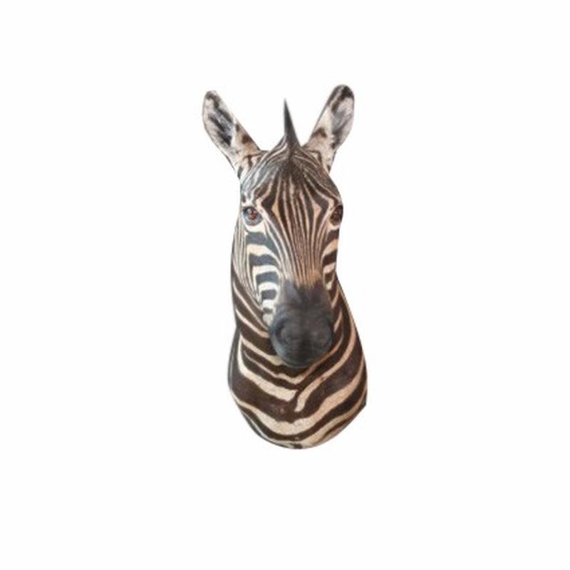 Zebra Shoulder Mount ZSM2