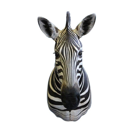 Zebra Shoulder Mount ZSMA1 - Image 2