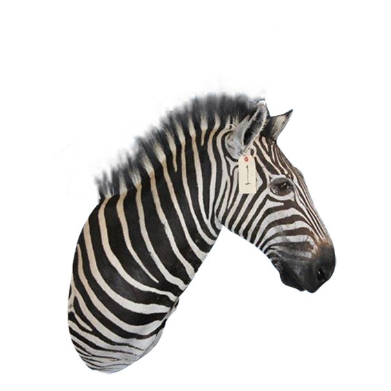 Zebra Shoulder Mount ZSMA1